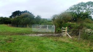 Priest's Way new fencing near verney farm